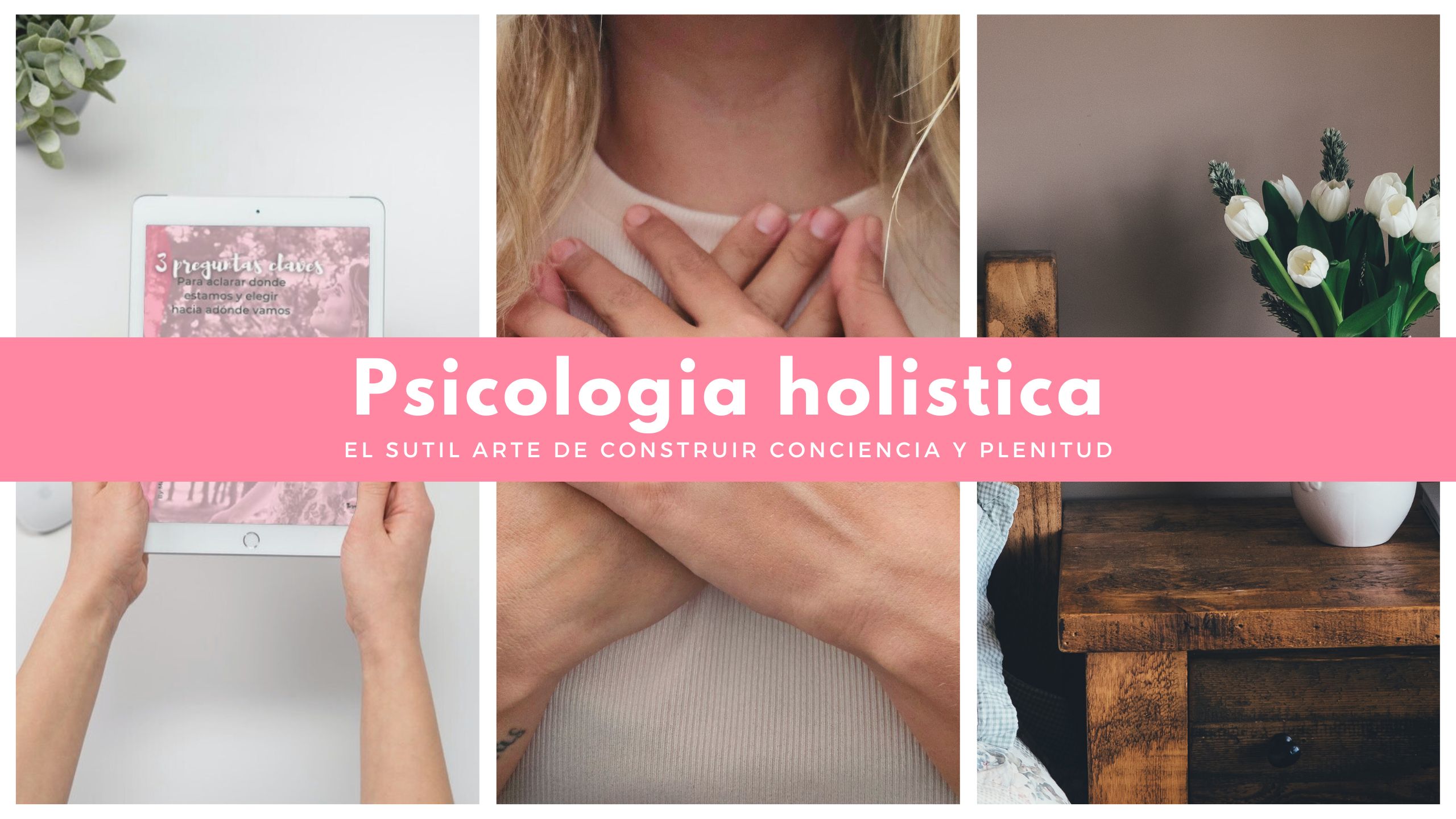 Que es la psicologia holistica